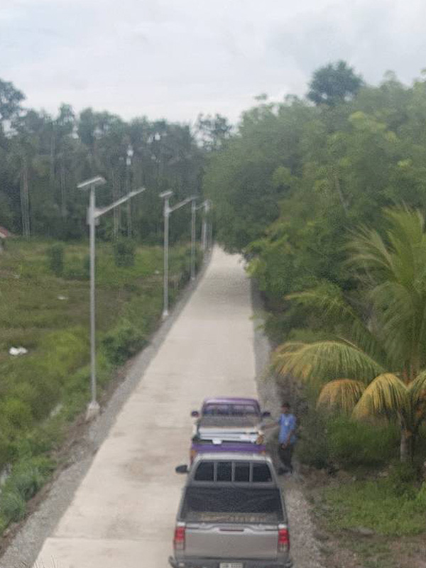 Solar-LED-Streetlight-VT-150W-pic3